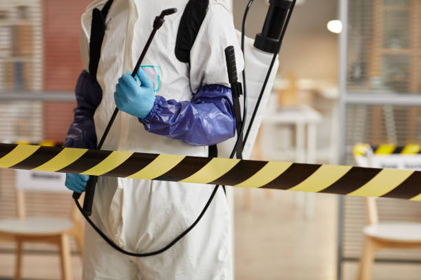 Professional Biohazard technician working in Casco, ME